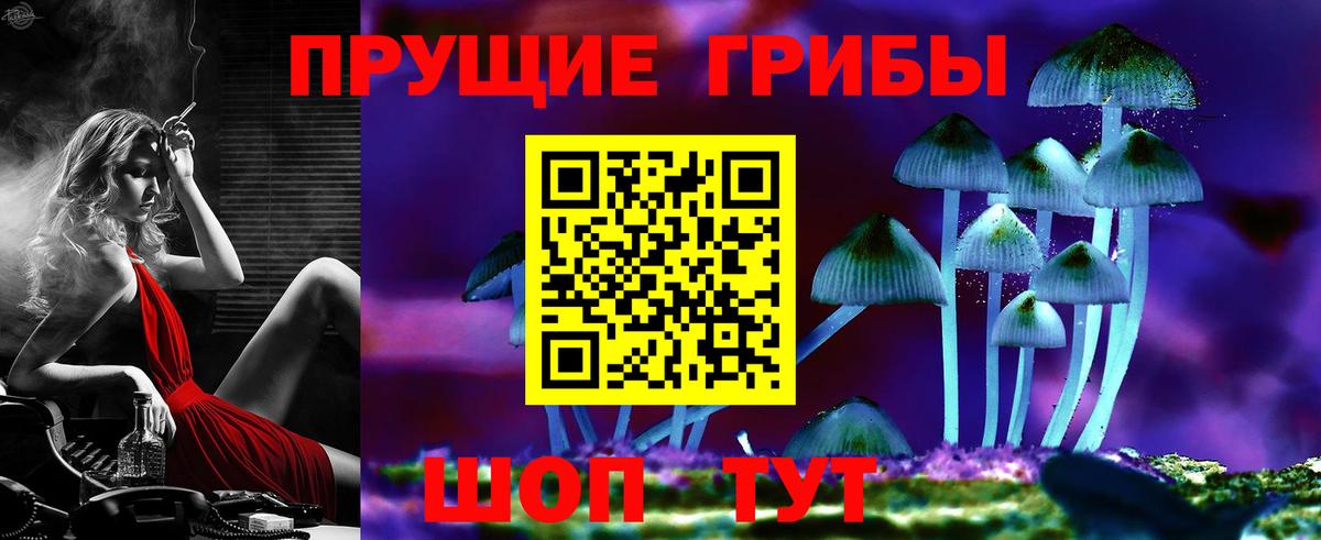 Псилоцибиновые грибы ЛСД Великий Устюг