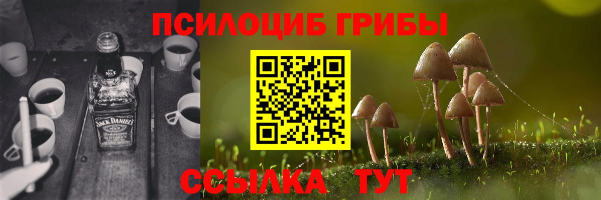 Великий Устюг  Псилоцибиновые грибы Cubensis  Галлюциногенные грибы мухоморы  Вход с VPN 